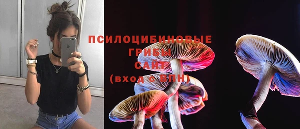 гидропоника Белокуриха